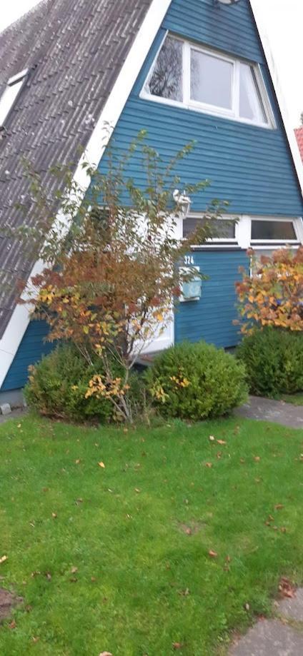 Strandpirat Damp Exterior foto